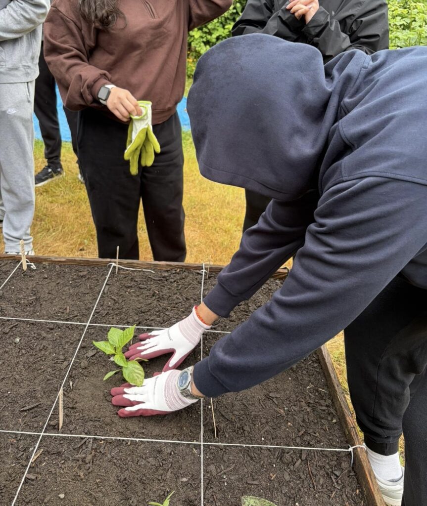 Picture of me planting a pepper