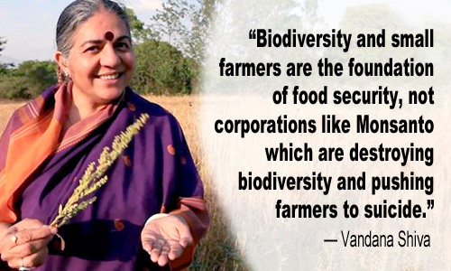 Vandana Shiva (Image from EcoWatch)