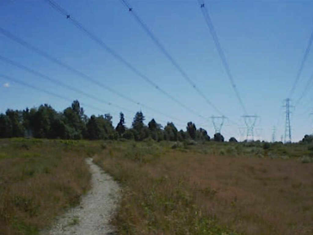 Image of the gravel trail before it was paved. Image source: Surrey Parks, Recreation and Culture commissions report April 11, 2001