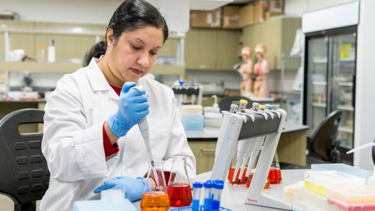 Introducing the FSH Notebook – A resource for STEM education