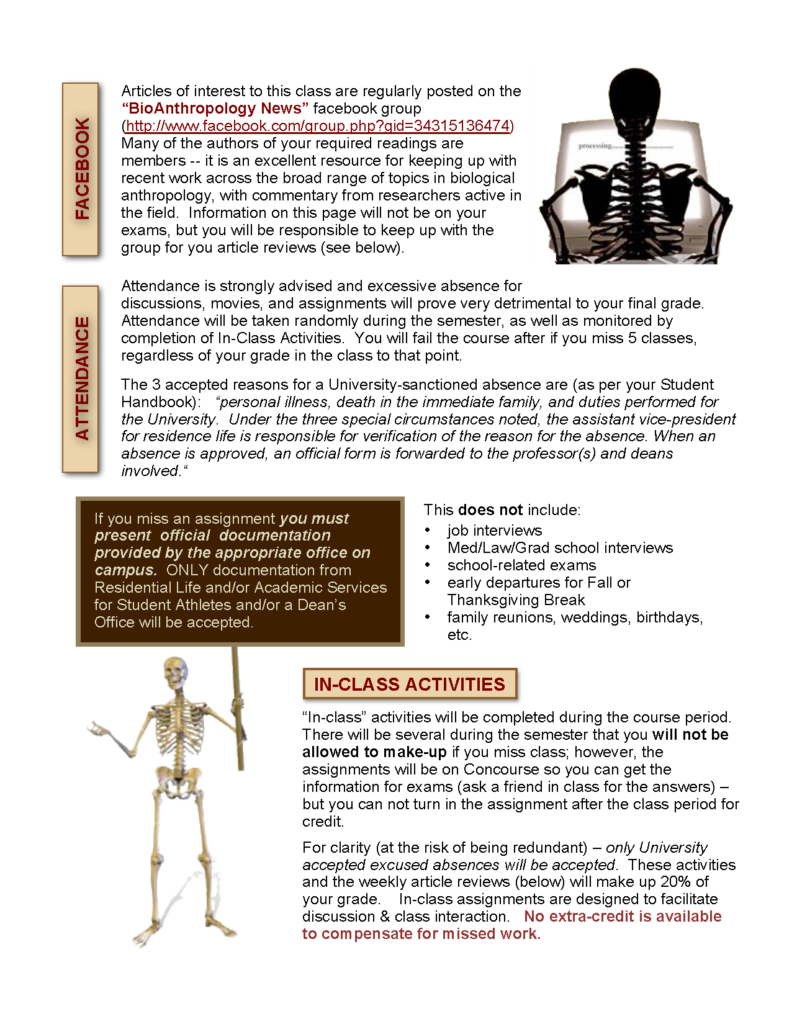 The image shows a worksheet related to human anatomy, specifically the skeletal system. The top features an illustration of a human skeleton with labels pointing to different bones. Below the illustration, there are sections titled “Homework” and “In-Class Activities,” each containing instructions for tasks or questions related to the skeletal system.