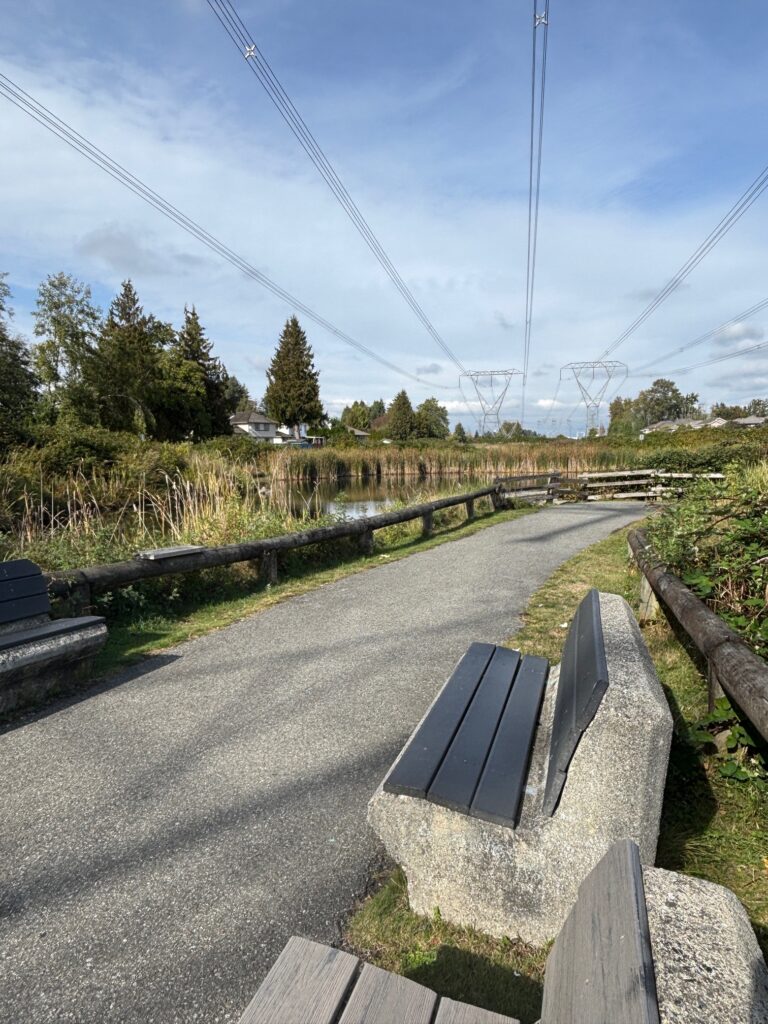 Benches near the pond provide a place to sit and enjoy the sounds of birds and overlook the water (Hayward, 2025)