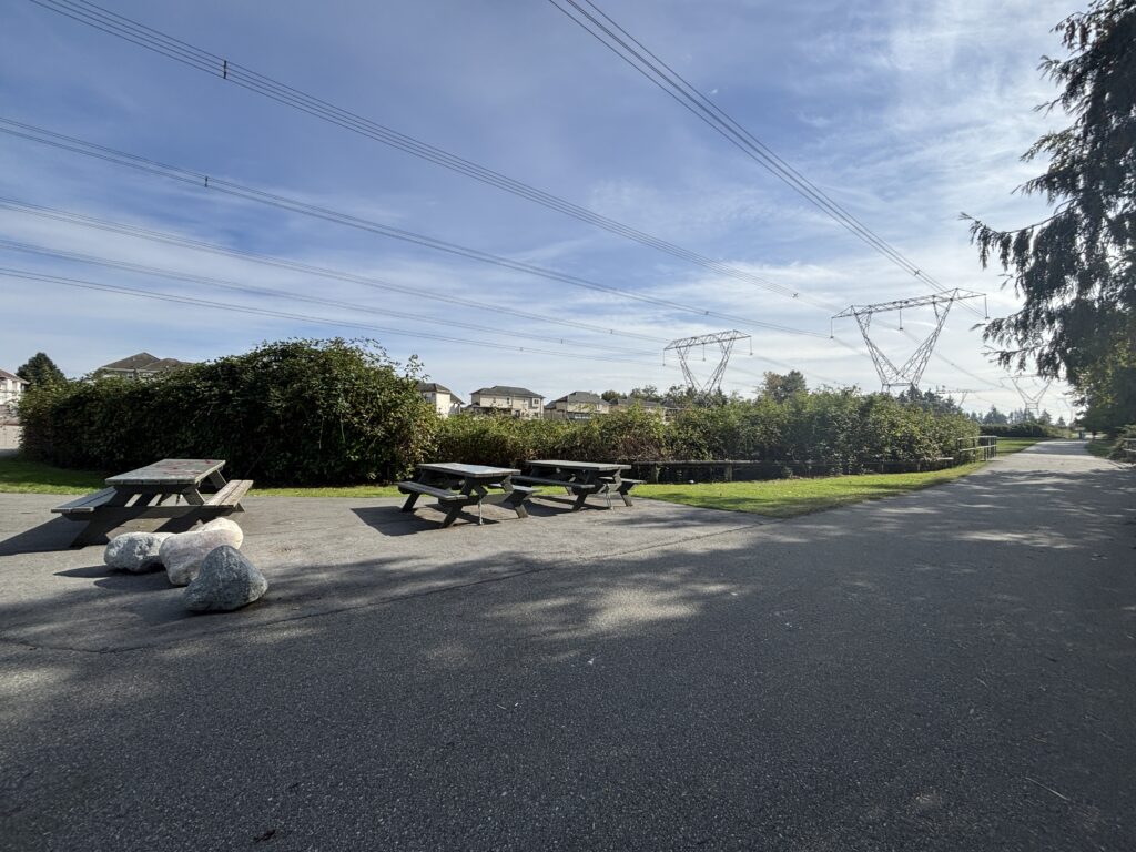 Picnic Tables near the ponds (Hayward, 2025)