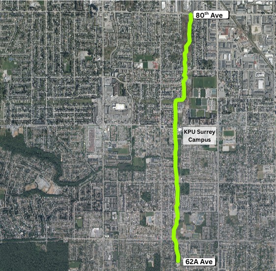 Map of the full length of the Serpentine Greenway from 62A Ave to 80th Ave in Surrey  (Hayward, 2025)